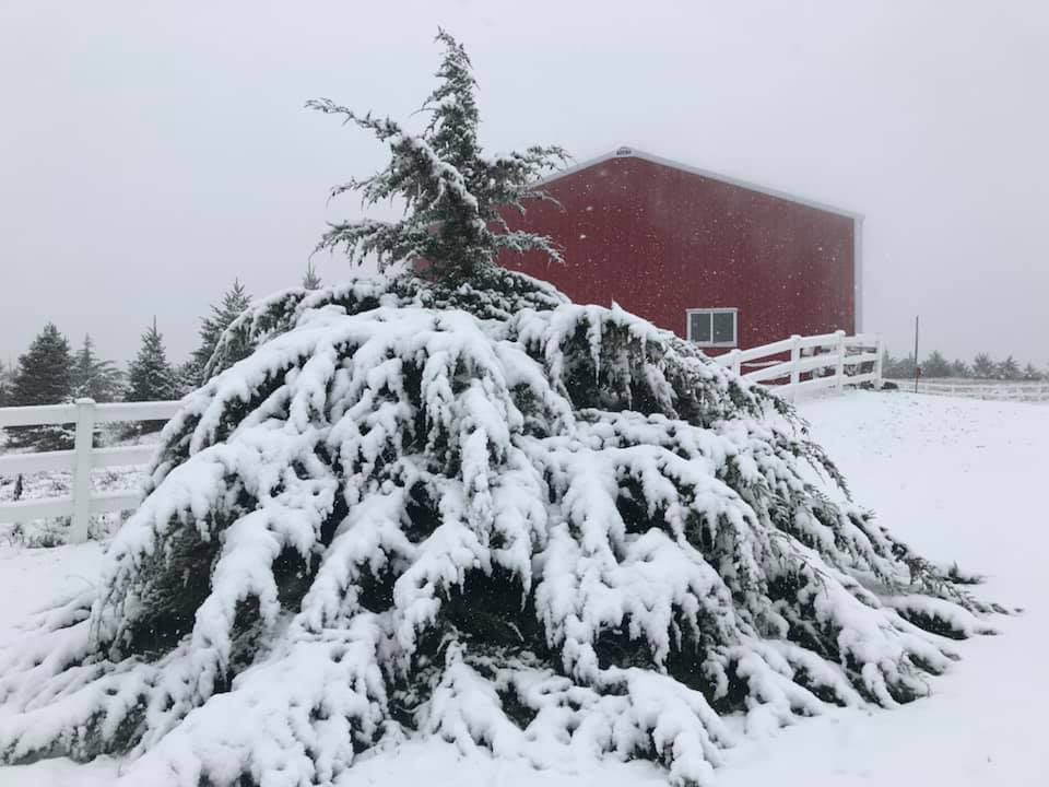 Snow, 10/14